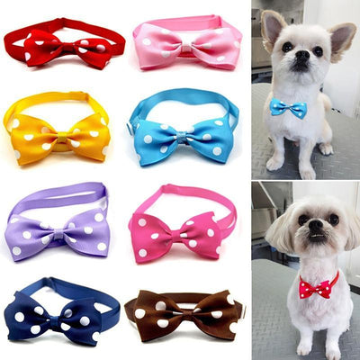 Cat / Dog Bow Collar