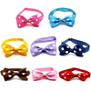 Cat / Dog Bow Collar