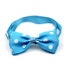 Cat / Dog Bow Collar