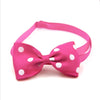 Cat / Dog Bow Collar