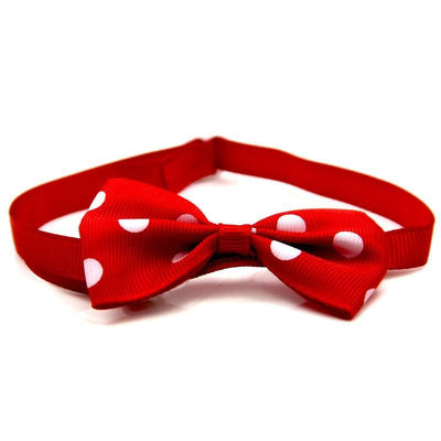 Cat / Dog Bow Collar