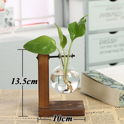 Terrarium Creative Hydroponic Plant with Transparent Vase & Wooden Frame