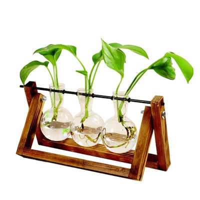 Terrarium Creative Hydroponic Plant with Transparent Vase & Wooden Frame