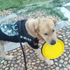 1000ml Large Portable / Collapsible Dog Bowl