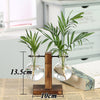 Terrarium Creative Hydroponic Plant with Transparent Vase & Wooden Frame