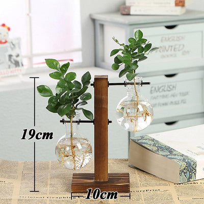 Terrarium Creative Hydroponic Plant with Transparent Vase & Wooden Frame