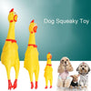 Screaming Chicken Dog Toy