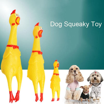 Screaming Chicken Dog Toy