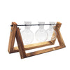 Terrarium Creative Hydroponic Plant with Transparent Vase & Wooden Frame