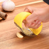 Handheld Stainless Steel Garlic Mincer